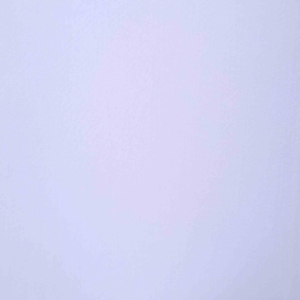 BAMBOO WHITE BAM 40SJ08BV 03000 300x300