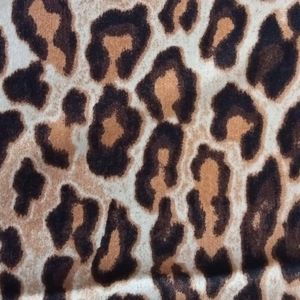 SATIN ZARIA CAT SG8144 1 18014 300x300