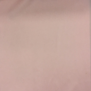 TRILOBAL PLAIN NEW FLESH BEV 125 05016 300x300