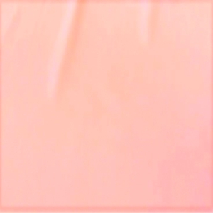 TRILOBAL PLAIN PINK BEV 126 05088 300x300